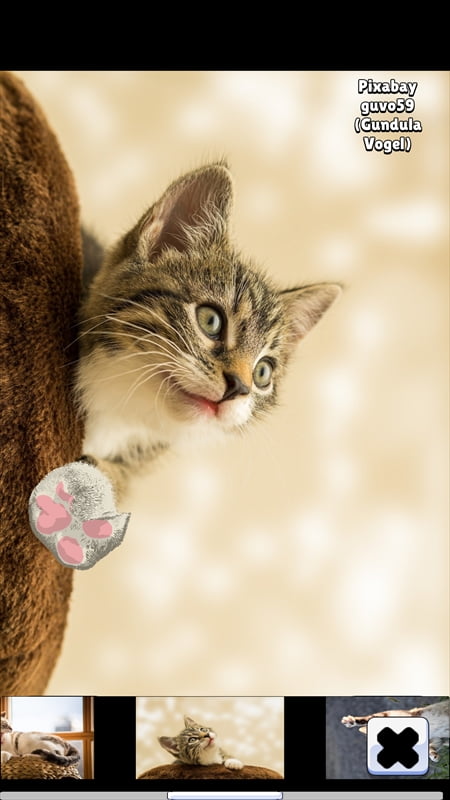 『ねこのふみふみ ／ Cat Kneading』のサンプル画像003
